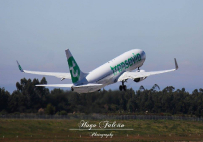 Transavia Plane